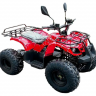 Детский электроквадроцикл GreenCamel Атакама T320 1000W R8 42Ah
