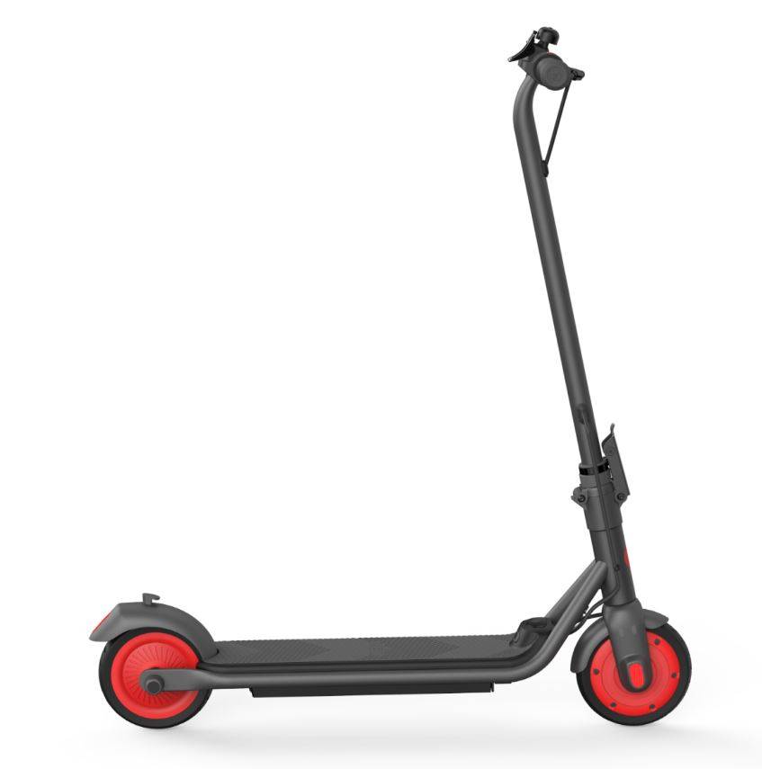 Электросамокат Ninebot KickScooter C20 (Серебристый)