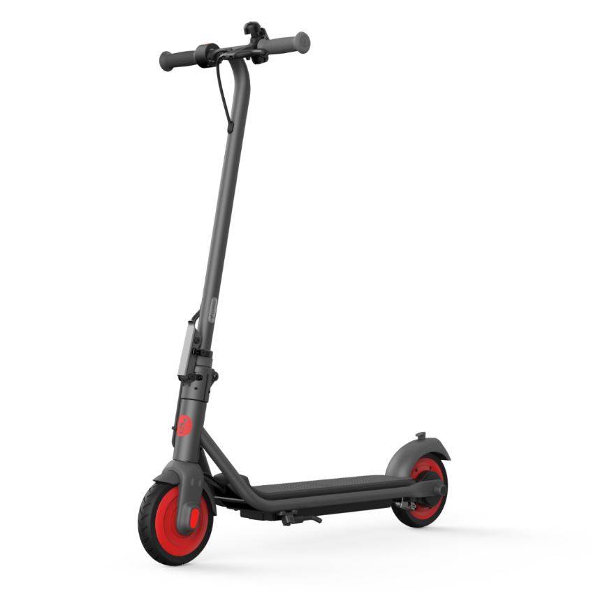 Электросамокат Ninebot KickScooter C20 (Серебристый)