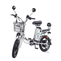 Электровелосипед Jetson Pro Max Ultra Plus (60V21Ah) (гидравлика) Серый