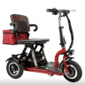 Электротрицикл Elbike Адъютант (a1)