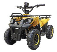 Детский электроквадроцикл GreenCamel Гоби K45 800W R6 30Ah